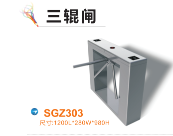 宁波奉化区三辊闸四号